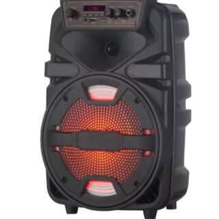 Haut Parleur Bluetooth PMPO QL-1203 12"in